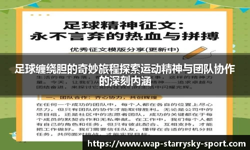 足球缠绕胆的奇妙旅程探索运动精神与团队协作的深刻内涵
